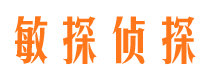 颍上市私家侦探